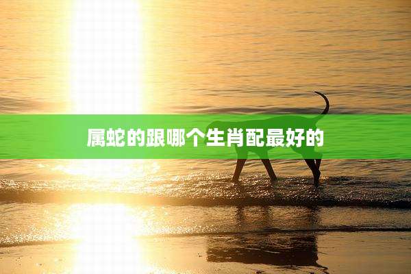 属蛇的跟哪个生肖配最好的