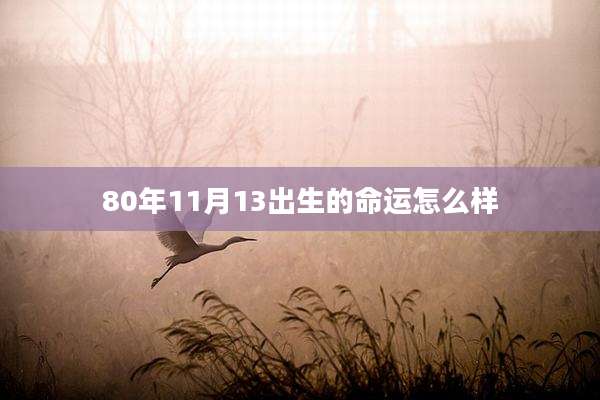 80年11月13出生的命运怎么样