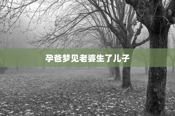 孕爸梦见老婆生了儿子
