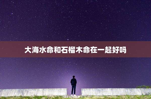大海水命和石榴木命在一起好吗