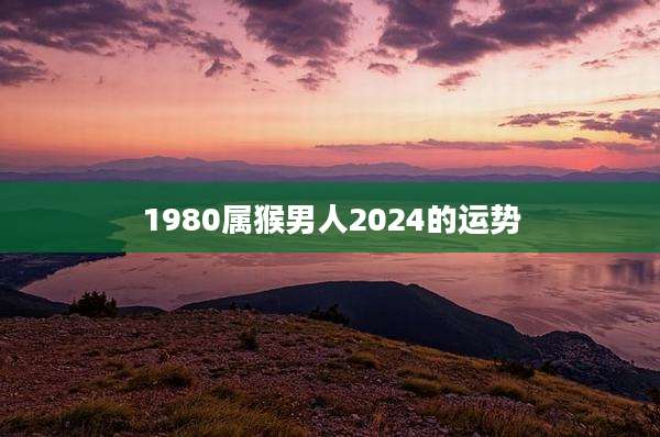 1980属猴男人2024的运势