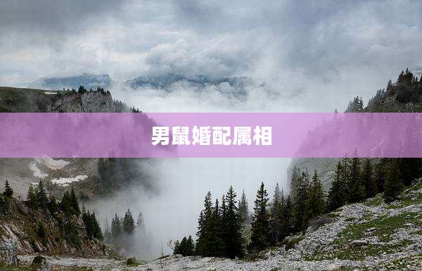 男鼠婚配属相