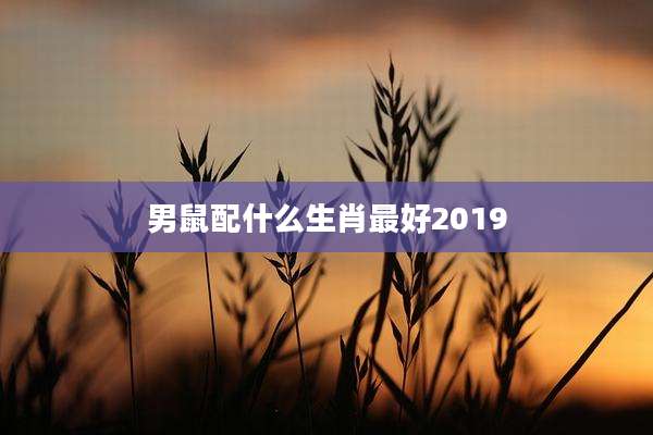 男鼠配什么生肖最好2019