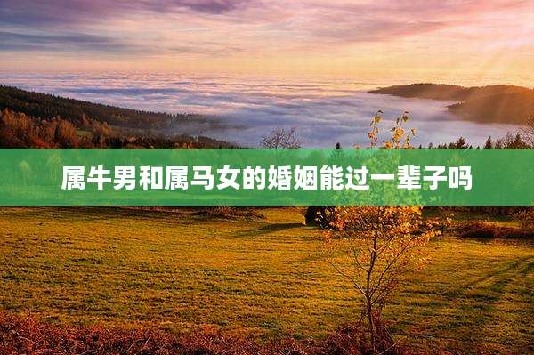 属牛男和属马女的婚姻能过一辈子吗