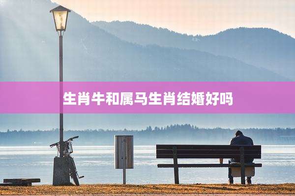 生肖牛和属马生肖结婚好吗