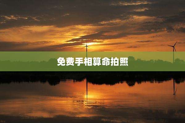 免费手相算命拍照