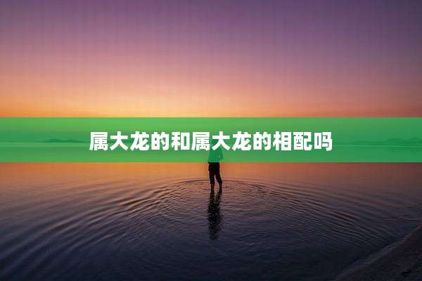 属大龙的和属大龙的相配吗