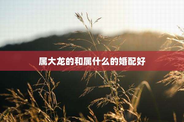 属大龙的和属什么的婚配好