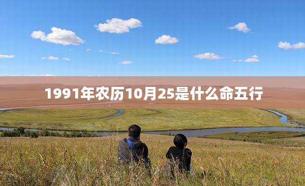 1991年农历10月25是什么命五行
