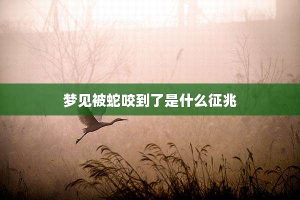 梦见被蛇咬到了是什么征兆