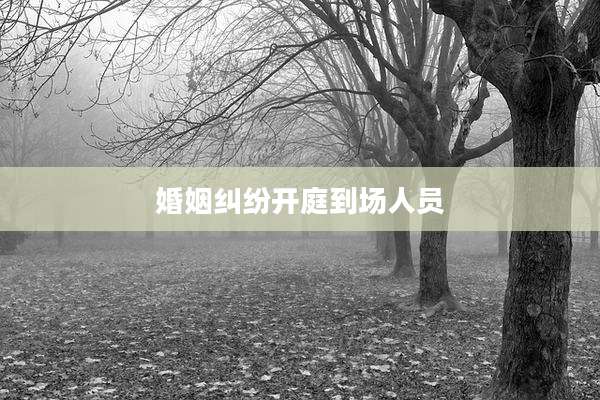 婚姻纠纷开庭到场人员