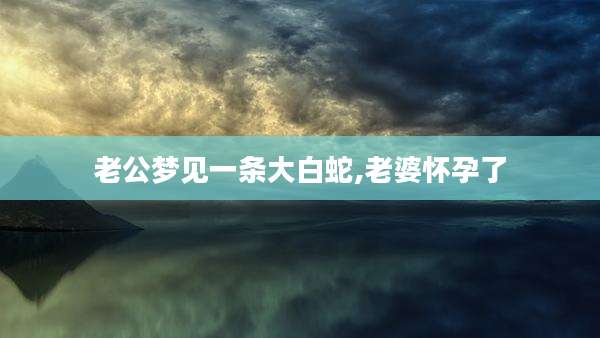 老公梦见一条大白蛇,老婆怀孕了