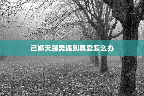 已婚天蝎男遇到真爱怎么办