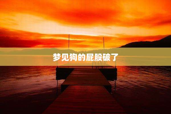 梦见狗的屁股破了