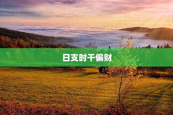 日支时干偏财