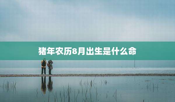 猪年农历8月出生是什么命
