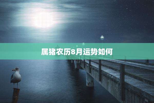 属猪农历8月运势如何