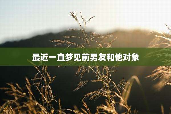 最近一直梦见前男友和他对象