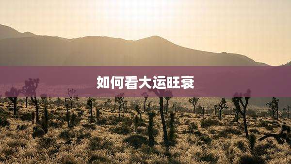 如何看大运旺衰