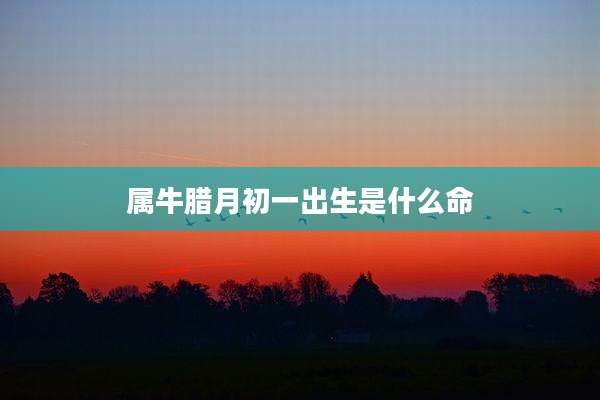 属牛腊月初一出生是什么命
