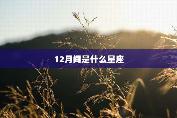 12月间是什么星座