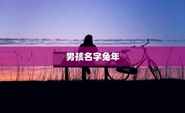 男孩名字兔年
