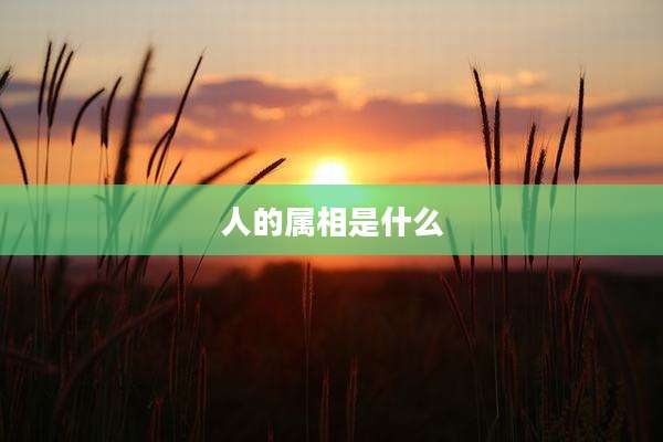人的属相是什么