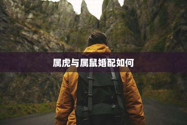 属虎与属鼠婚配如何