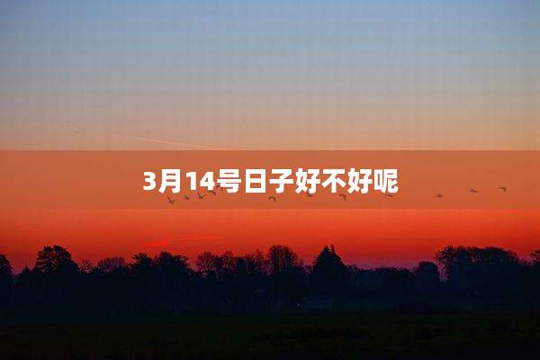 3月14号日子好不好呢
