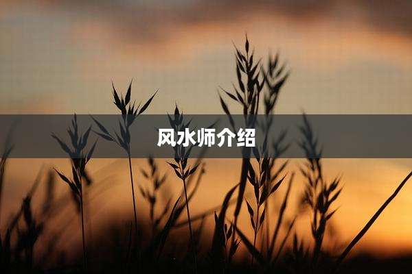 风水师介绍