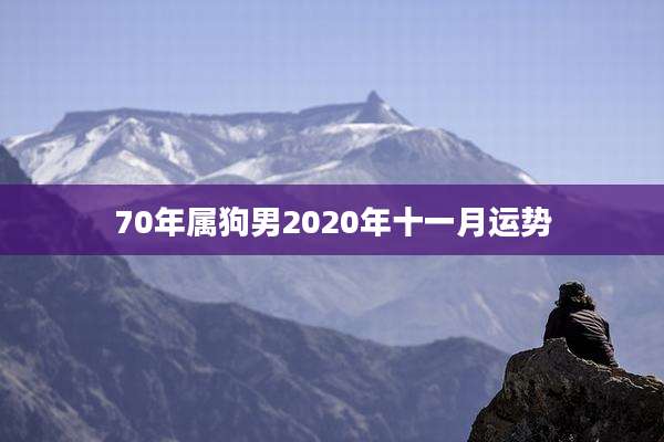 70年属狗男2020年十一月运势