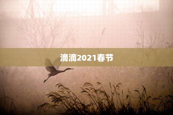 滴滴2021春节