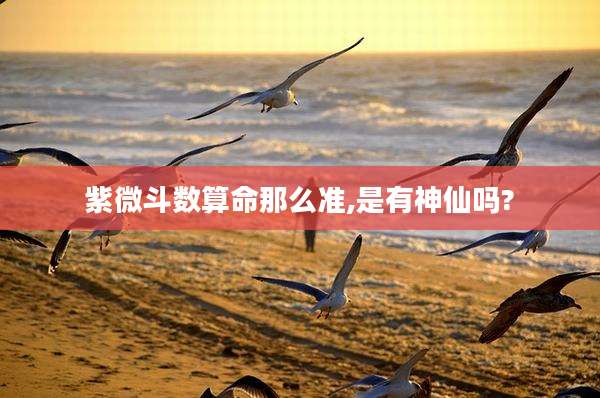 紫微斗数算命那么准,是有神仙吗?