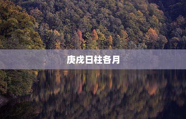 庚戌日柱各月