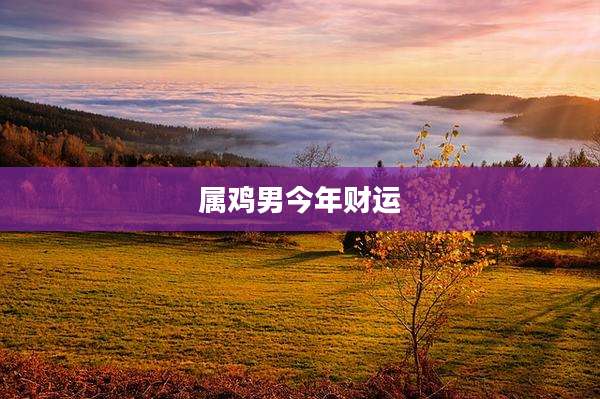 属鸡男今年财运