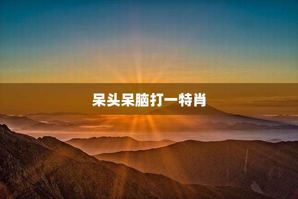 呆头呆脑打一特肖