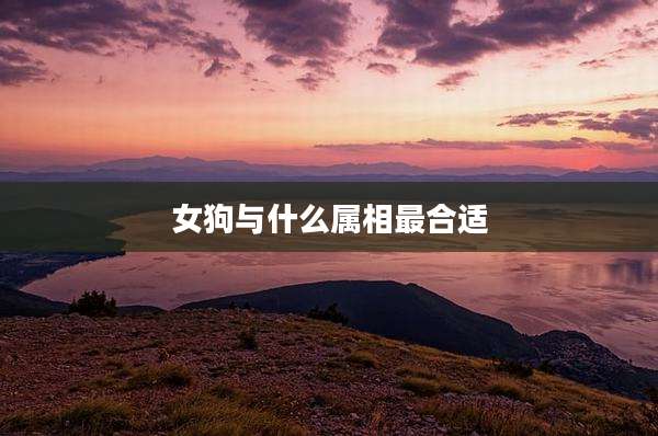 女狗与什么属相最合适