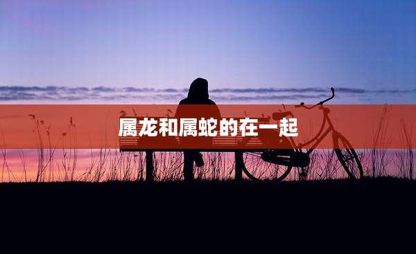 属龙和属蛇的在一起