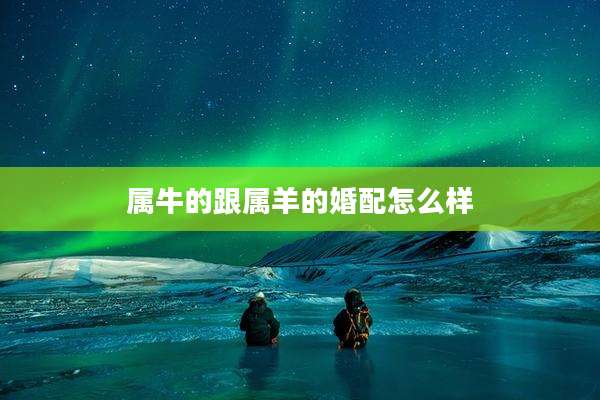 属牛的跟属羊的婚配怎么样