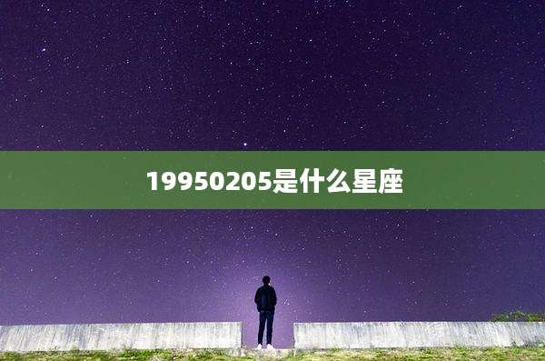 19950205是什么星座