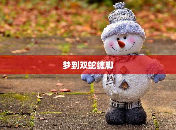 梦到双蛇缠脚