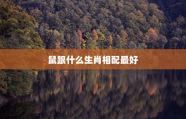 鼠跟什么生肖相配最好