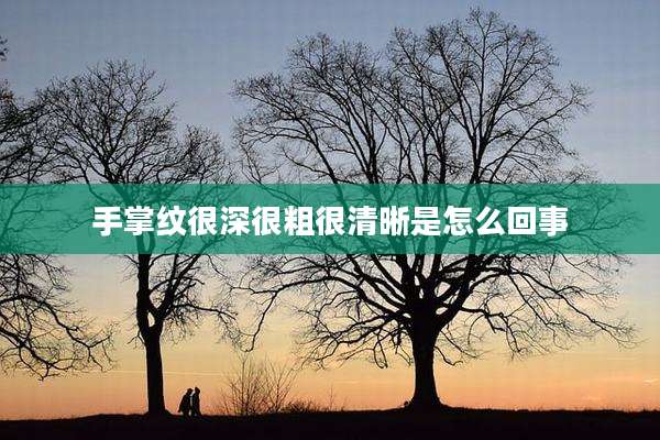 手掌纹很深很粗很清晰是怎么回事