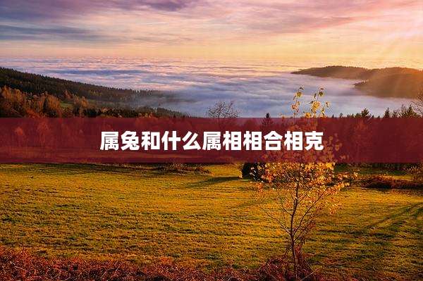属兔和什么属相相合相克