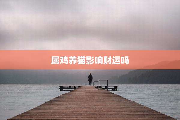 属鸡养猫影响财运吗