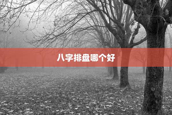 八字排盘哪个好