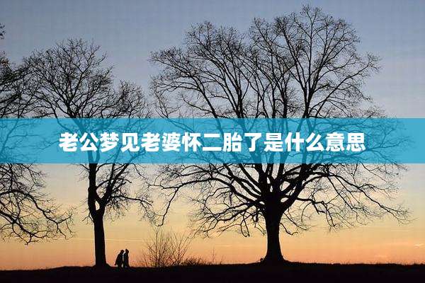 老公梦见老婆怀二胎了是什么意思