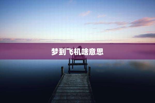 梦到飞机啥意思