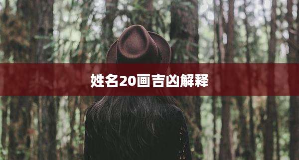姓名20画吉凶解释