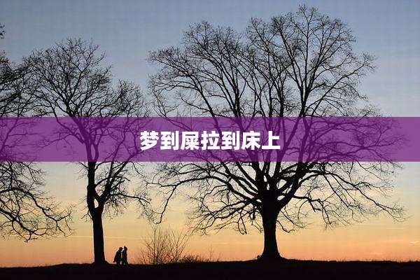 梦到屎拉到床上